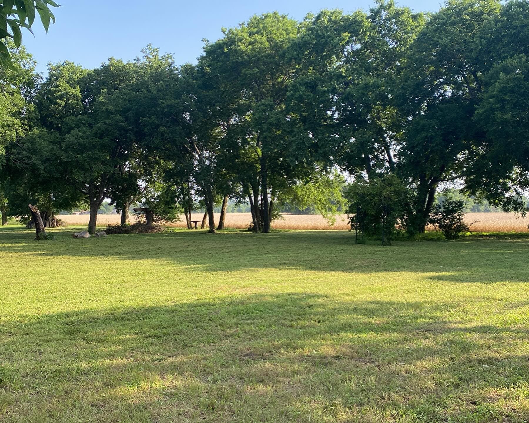 Backyard Renovation after
