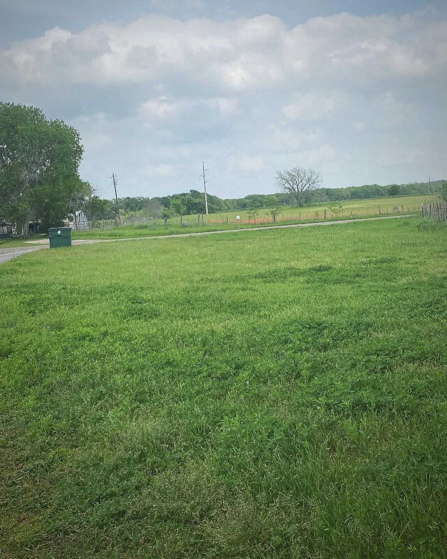 Backyard Pros outdoor project photo 19