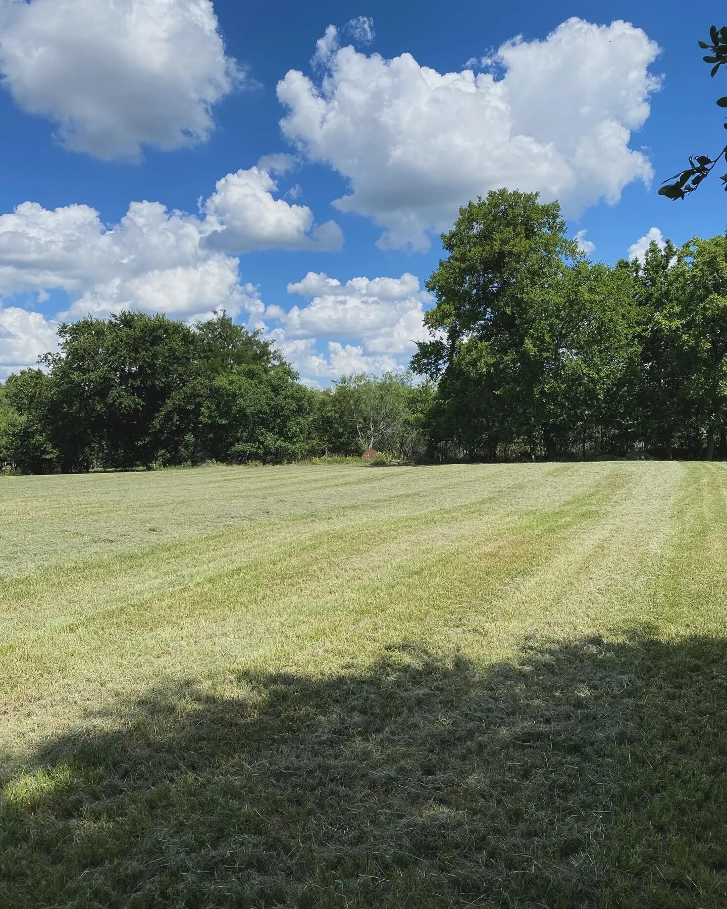 Backyard Pros outdoor project photo 30